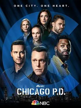 《芝加哥警署 第九季》:正义之战再度打响!芝加哥街头的罪恶永不眠